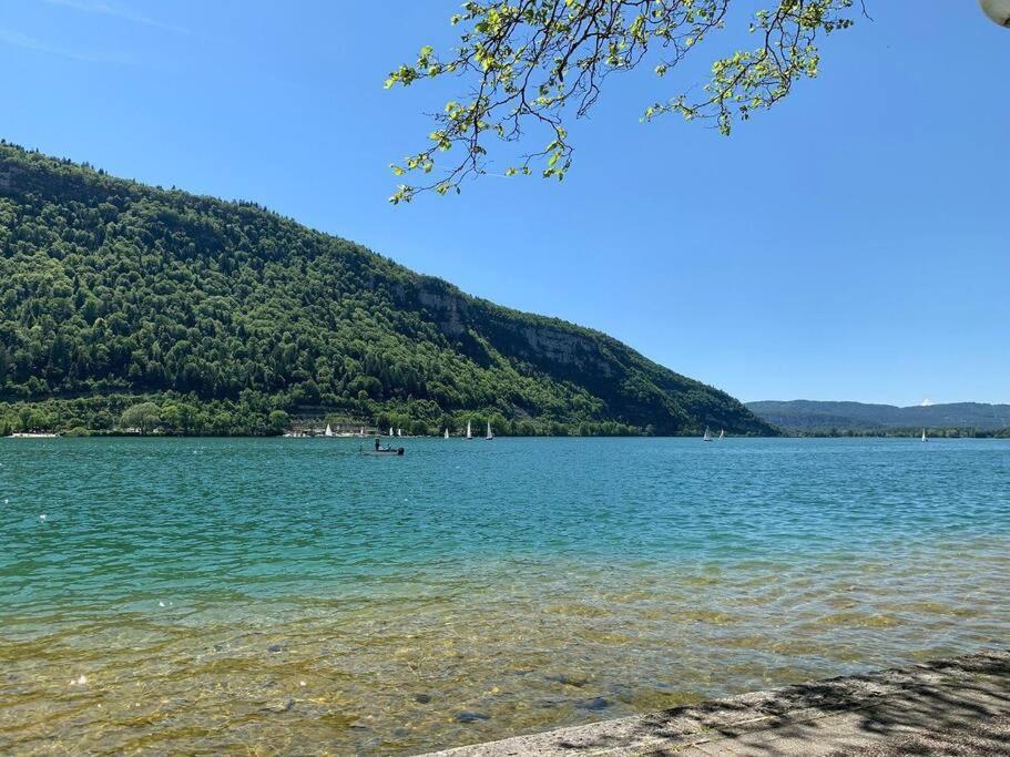 Joli Appartement En Face De Lac Nantua Extérieur photo